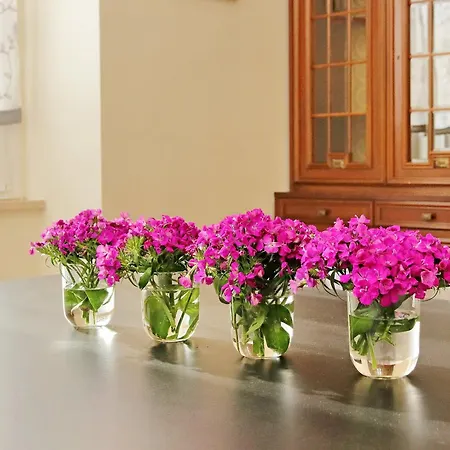 4bnb - Ripetta Apartamento Roma